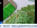 牙签最新爆料视频大全集,揭秘幕后真相，热点事件全解析