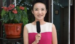 卓伟最新爆料韩红,卓伟最新爆料揭露惊人内幕